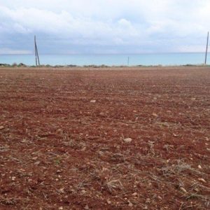 4,014m² Plot for Sale in Agios Theodoros, Larnaca District