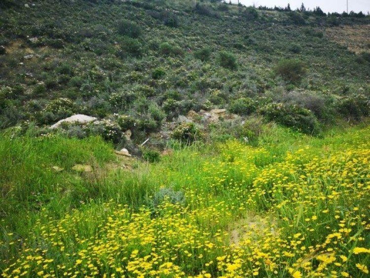 1,270m² Plot for Sale in Limassol – Panthea