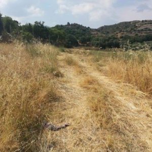 3,011m² Plot for Sale in Eptagoneia, Limassol District