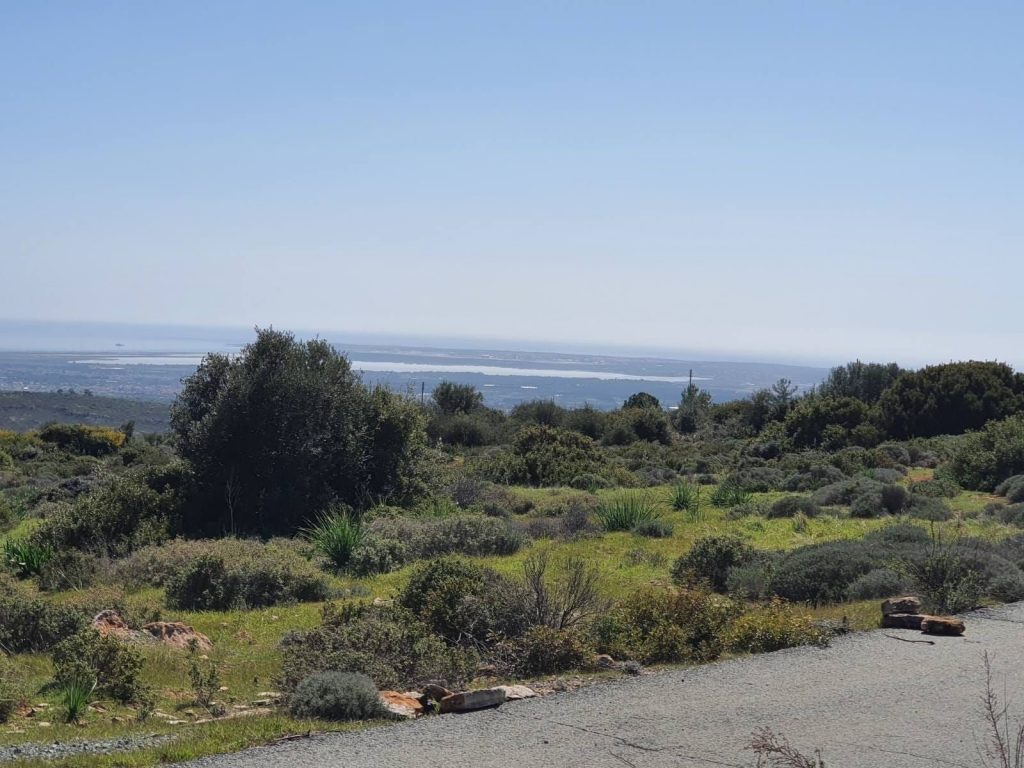 15,051m² Plot for Sale in Souni, Limassol District