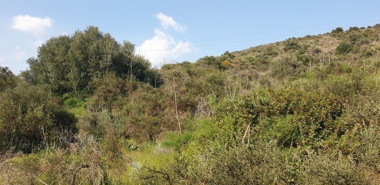 15,800m² Plot for Sale in Kalavasos, Larnaca District