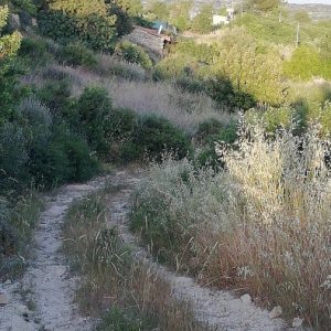 883m² Plot for Sale in Vouni, Limassol District