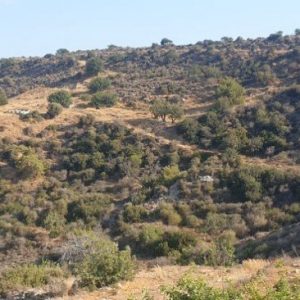 20,402m² Plot for Sale in Pissouri, Limassol District