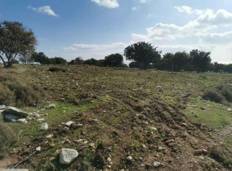 3,679m² Plot for Sale in Anogyra, Limassol District