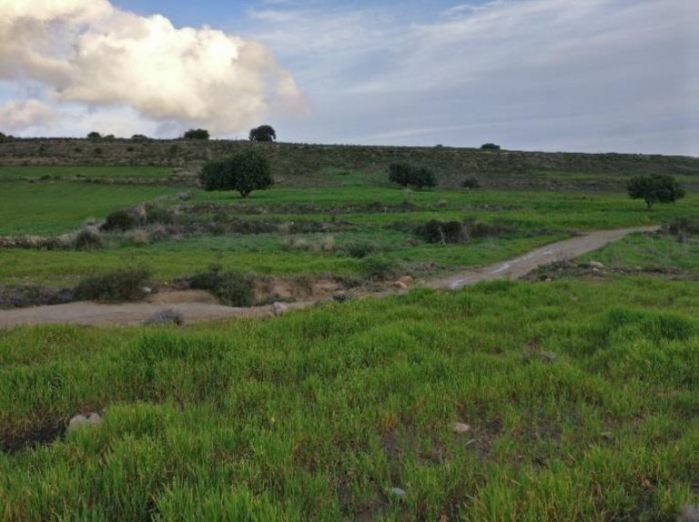 6,689m² Plot for Sale in Anogyra, Limassol District