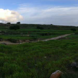 6,689m² Plot for Sale in Anogyra, Limassol District