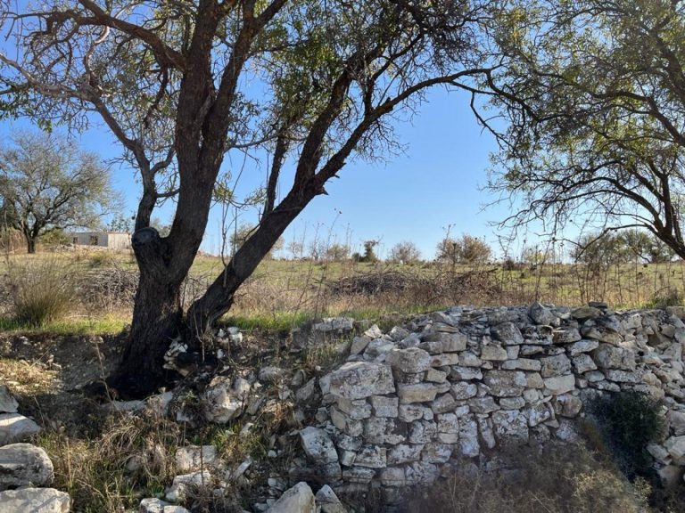 3,011m² Plot for Sale in Vasa Koilaniou, Limassol District