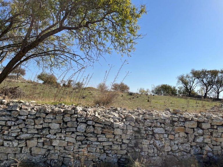 3,011m² Plot for Sale in Vasa Koilaniou, Limassol District