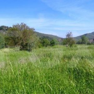 5,352m² Plot for Sale in Paphos