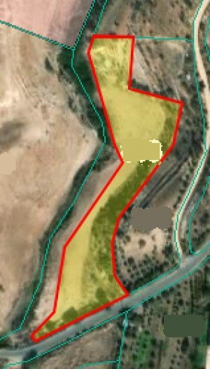 7,695m² Plot for Sale in Anarita, Paphos District