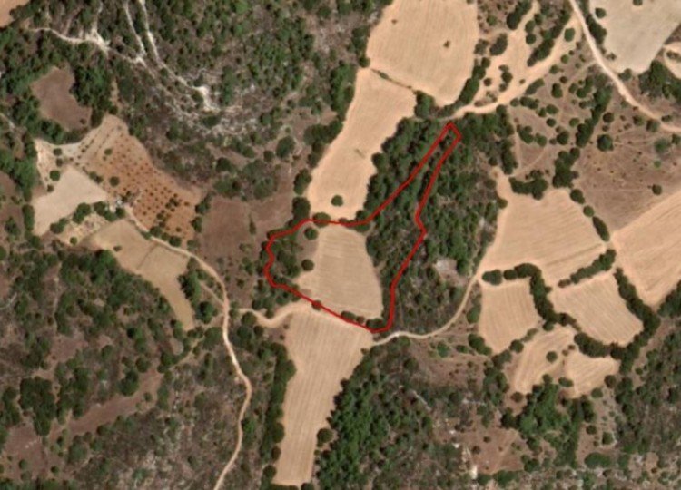11,372m² Plot for Sale in Lysos, Paphos District