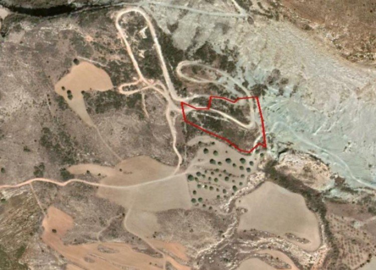 7,024m² Plot for Sale in Armou, Paphos District