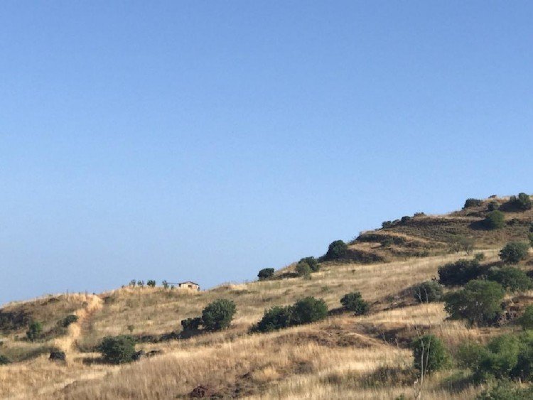10,710m² Plot for Sale in Episkopi Pafou, Paphos District