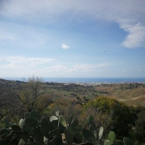 5,515m² Plot for Sale in Armou, Paphos District