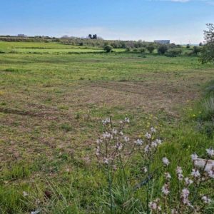 5,039m² Plot for Sale in Anarita, Paphos District
