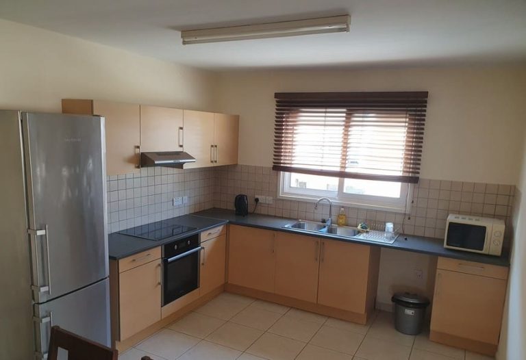 2 Bedroom Apartment for Rent in Nicosia District