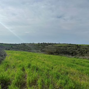 3,345m² Plot for Sale in Kathikas, Paphos District