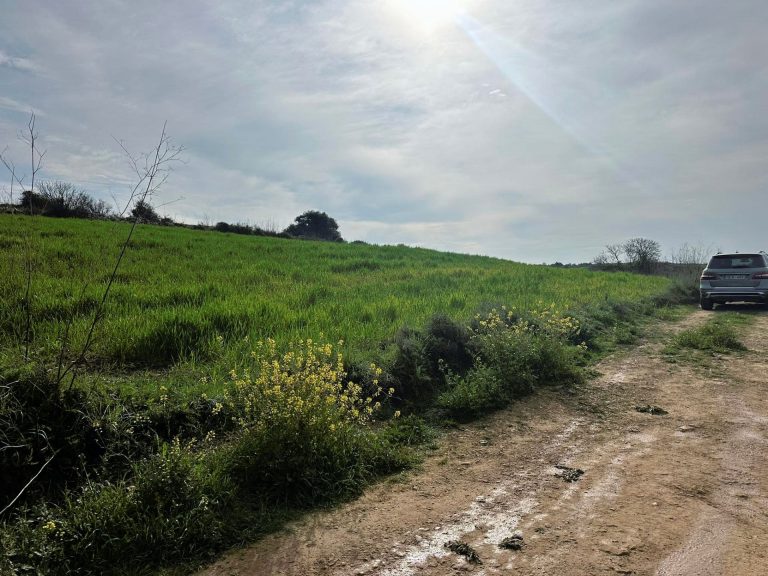 3,345m² Plot for Sale in Kathikas, Paphos District