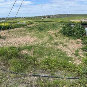 5,686m² Plot for Sale in Anarita, Paphos District