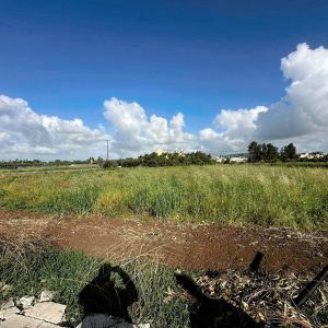 3,500m² Plot for Sale in Timi, Paphos District