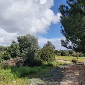 1,563m² Plot for Sale in Aphrodite Hills, Paphos District