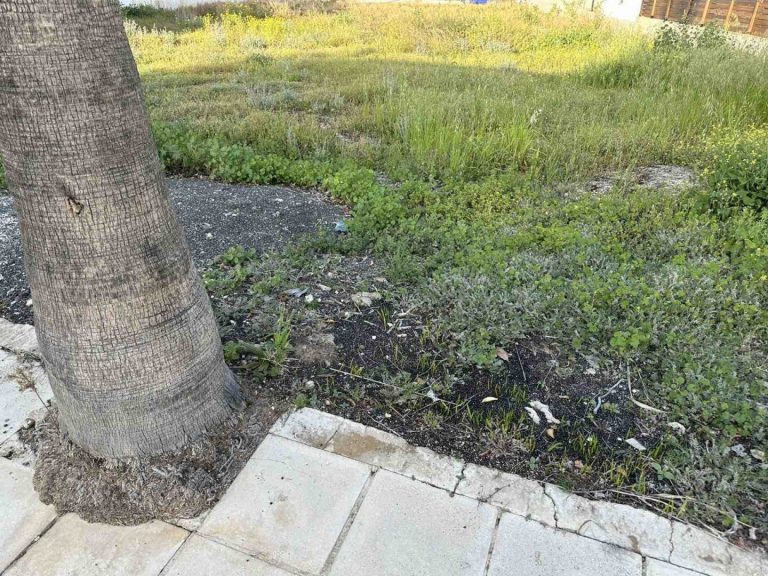 551m² Plot for Sale in Anarita, Paphos District