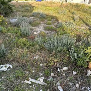 551m² Plot for Sale in Anarita, Paphos District