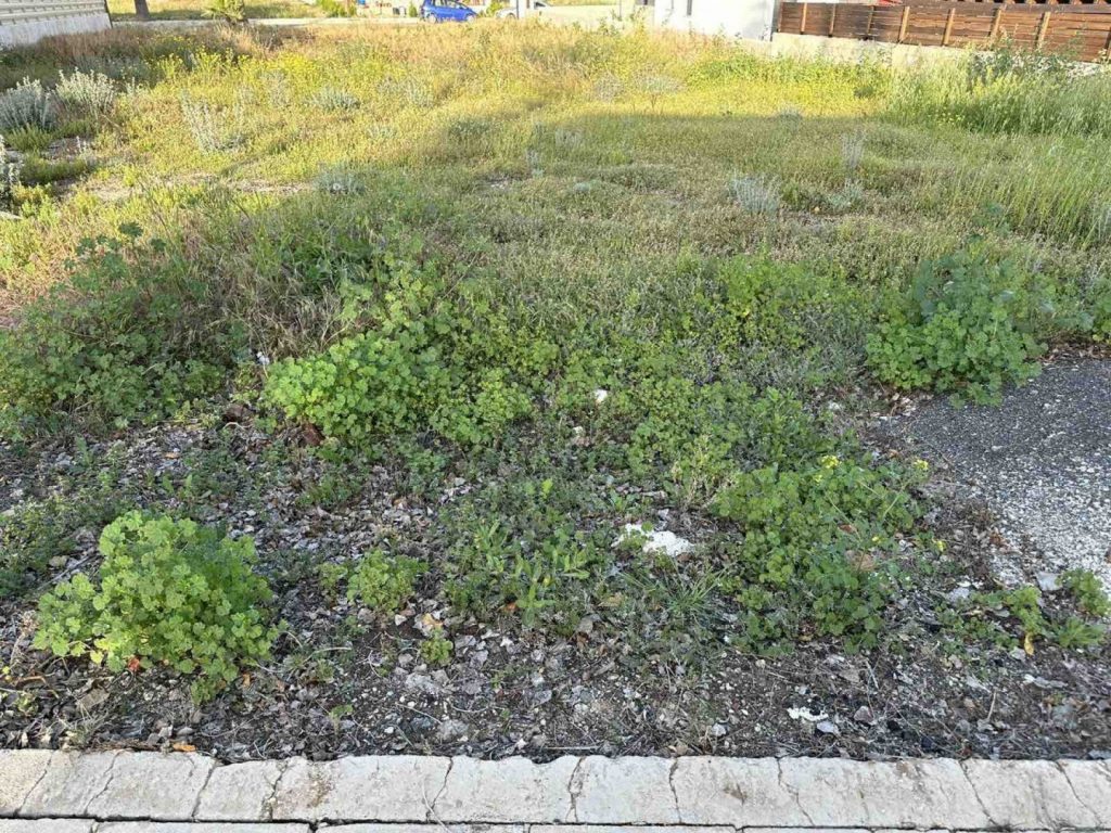 551m² Plot for Sale in Anarita, Paphos District