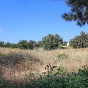 2,869m² Plot for Sale in Aphrodite Hills, Paphos District