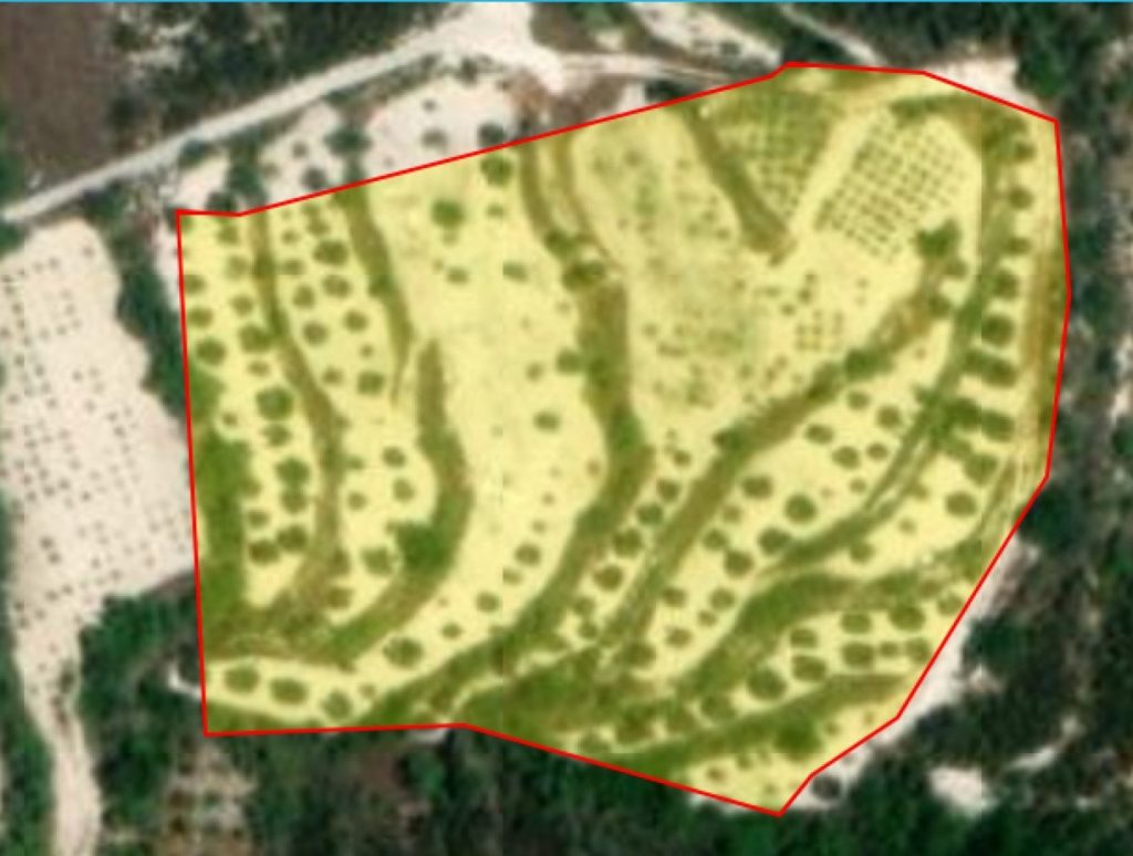 8,863m² Plot for Sale in Tsada, Paphos District