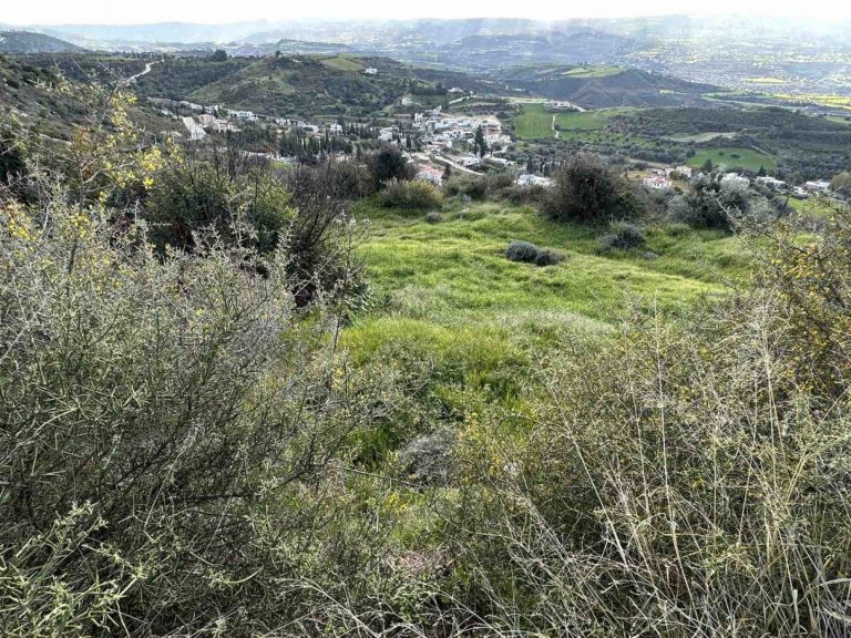 13,960m² Plot for Sale in Steni, Paphos District
