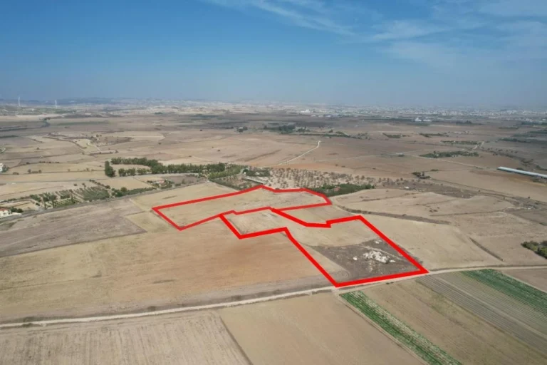 34,598m² Commercial Plot for Sale in Tersefanou, Larnaca District