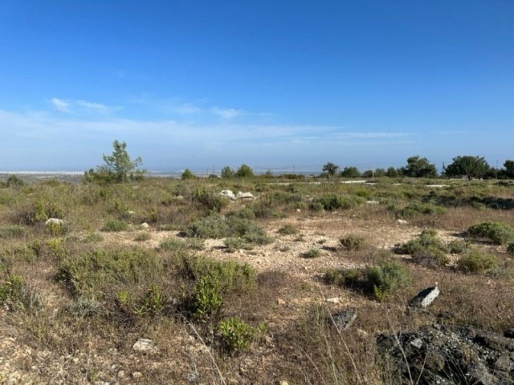 15,051m² Plot for Sale in Paramali, Limassol District