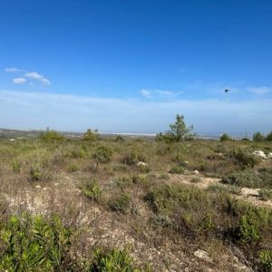 15,051m² Plot for Sale in Paramali, Limassol District