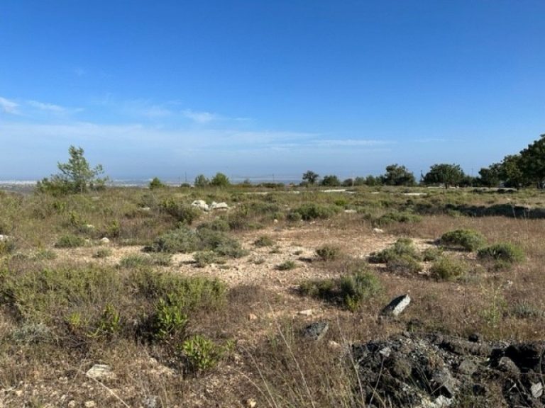15,051m² Plot for Sale in Paramali, Limassol District