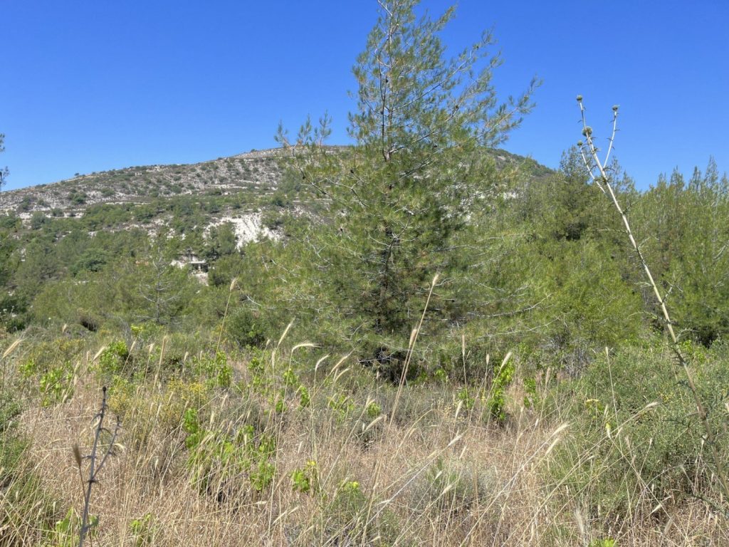 2,620m² Plot for Sale in Pera Pedi, Limassol District