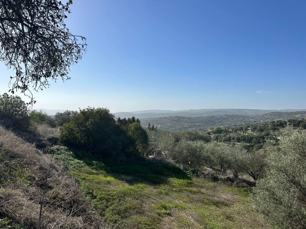 1,673m² Plot for Sale in Psathi, Paphos District