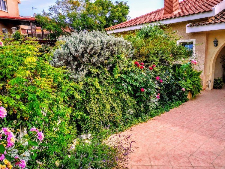5 Bedroom House for Rent in Limassol District