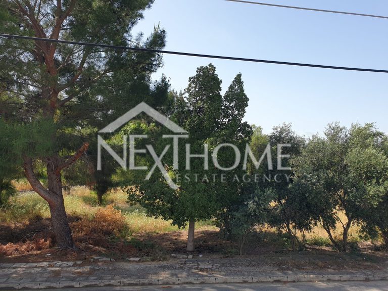 2 Bedroom Apartment for Rent in Nicosia District