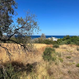 2,174m² Plot for Sale in Pomos, Paphos District