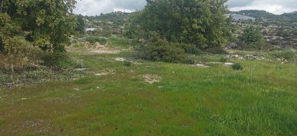 3,679m² Plot for Sale in Agridia, Limassol District