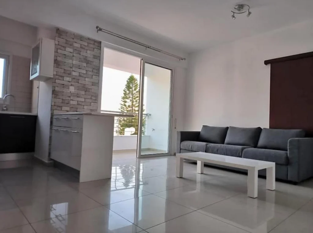 1 Bedroom Apartment for Rent in Nicosia District