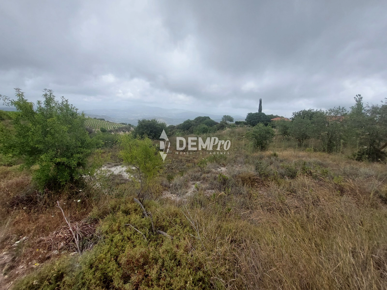 2,970m² Plot for Sale in Armou, Paphos District