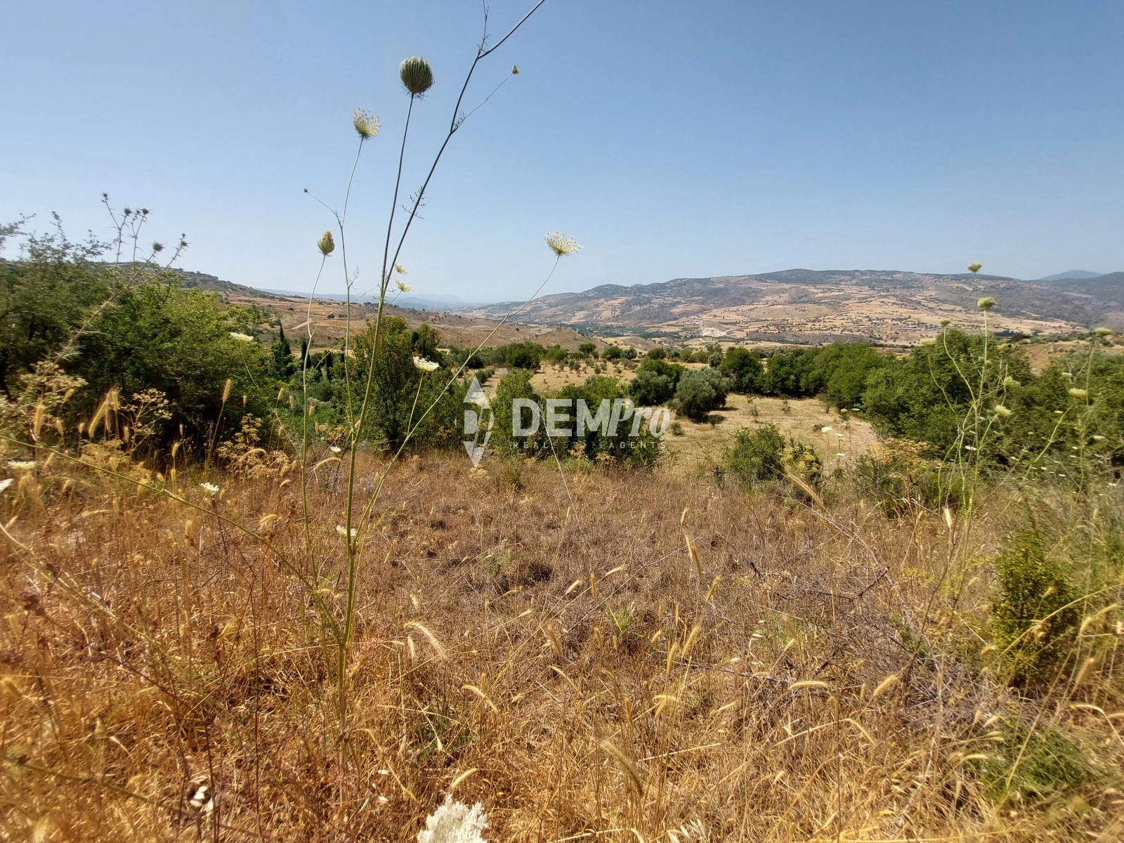 7,020m² Plot for Sale in Lasa, Paphos District
