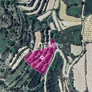 4,785m² Plot for Sale in Koili, Paphos District