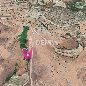 2,342m² Plot for Sale in Agios Dimitrianos, Paphos District