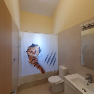 3 Bedroom House for Rent in Limassol