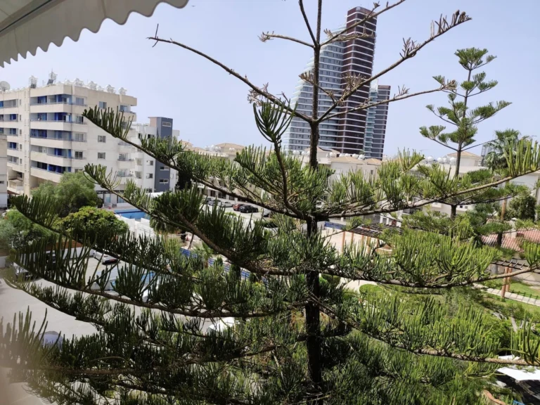 Studio Apartment for Rent in Mouttagiaka Tourist Area, Limassol District