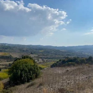 7,024m² Plot for Sale in Lemona, Paphos District