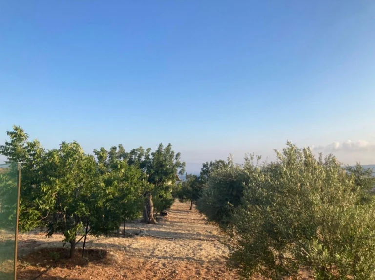 7,358m² Plot for Sale in Prastio Avdimou, Limassol District